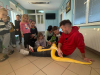 IMG-20250321-WA0101